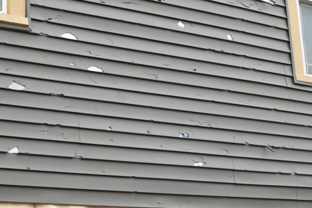 Best Same-Day Junk Removal Services  in Lmerton, PA